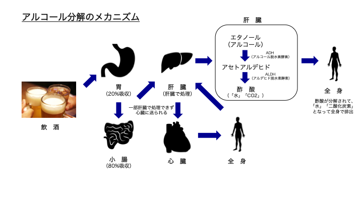 飲酒前と後に読んでおきたい二日酔いに効く飲み物とは Sake Reco お酒と健康 二日酔い対策 情報