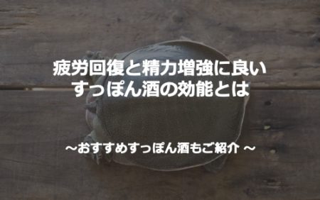すっぽん酒とは？味・飲み方・効能の噂と注意点を解説【2026年版】